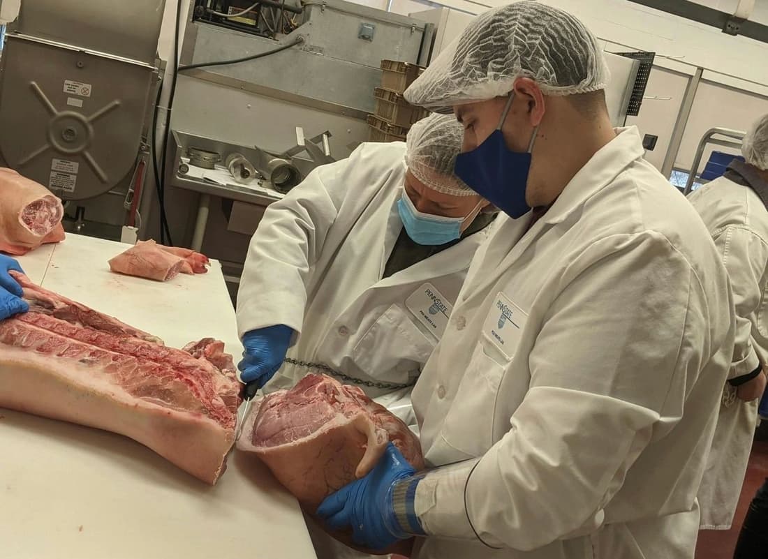 Breaking down a hog at the Penn State butcher lab